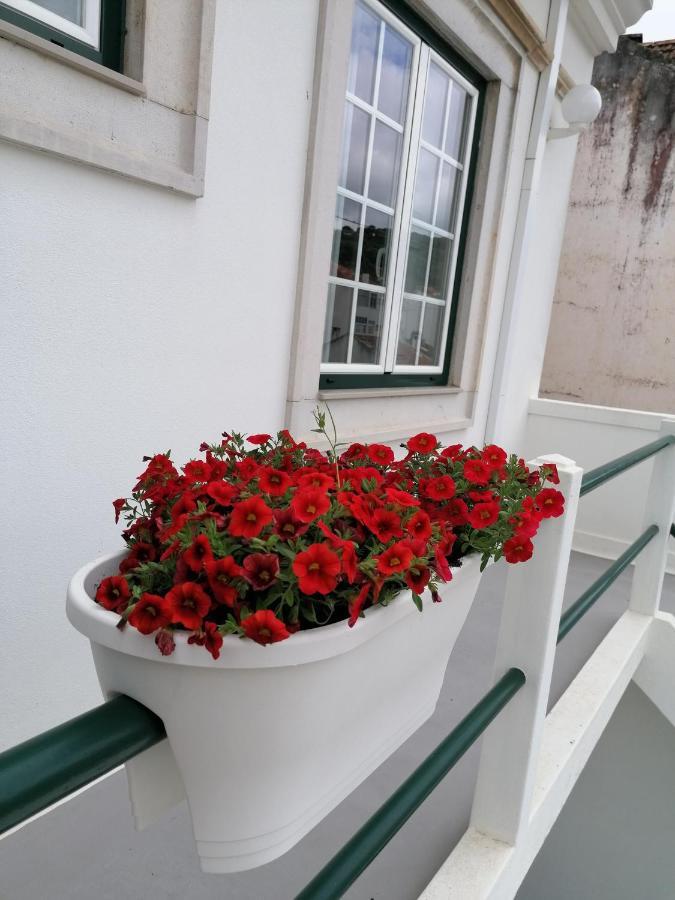 Rossio Auberge de jeunesse Alcobaça
